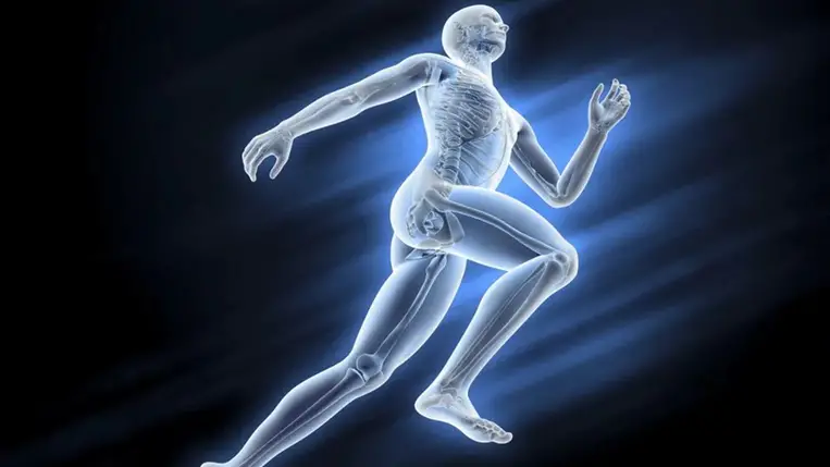 Tévedtek a szakértők? Több csontunk lehet, mint azt hittük