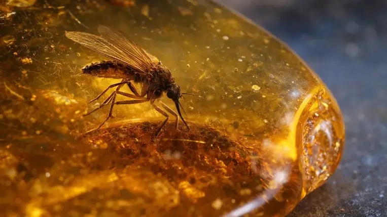 Valósággá válhat a Jurassic Park?