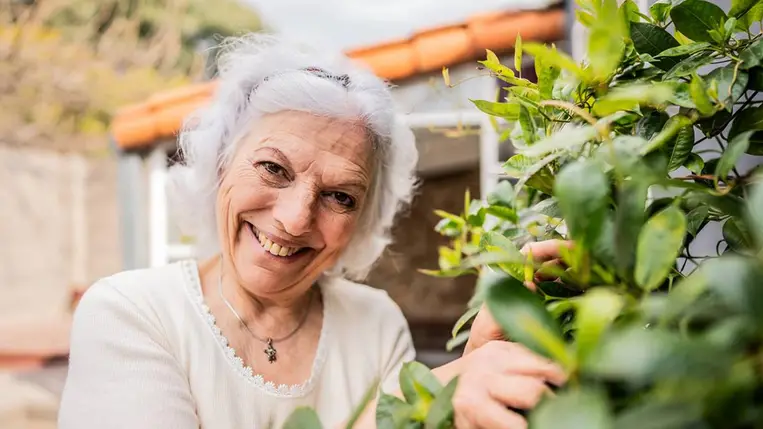 Véd a demencia ellen, csökkenti a stresszt, és fitten tart: elég hozzá kilépni a házból