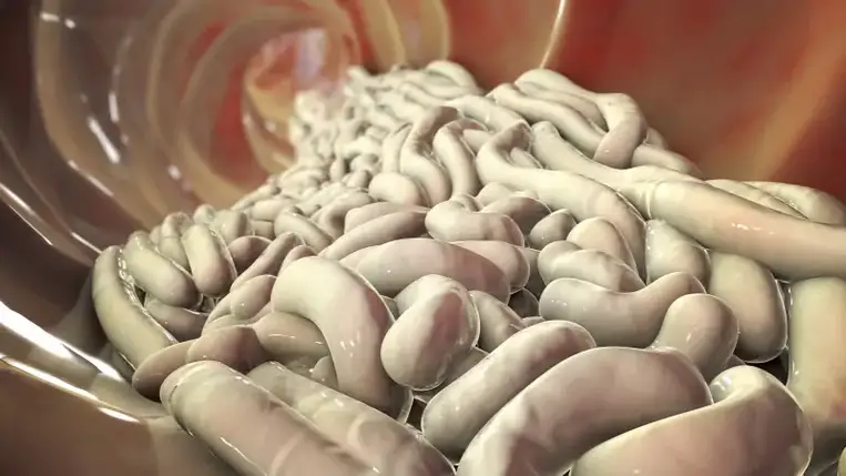 Új gyógymódot találtak a rettegett betegségre