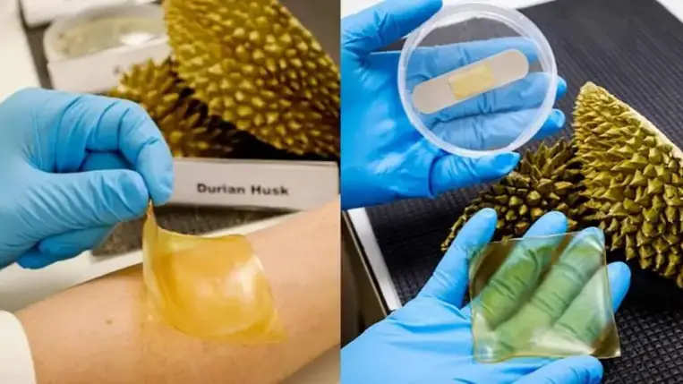 Így menthet életet a gyümölcsmaradék