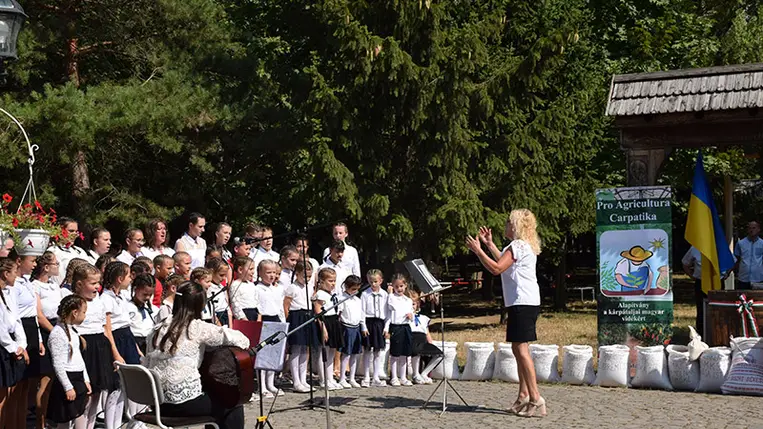 Búzaösszeöntés Nagydobronyban. Fotó: Kovács Elemér