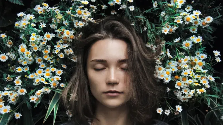  5+1 nyugtató gyógynövény, ami segít VÉGRE elaludni 