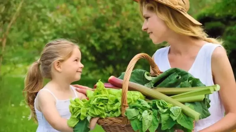 Ha unja a narancsot: íme, a legjobb immunerősítők