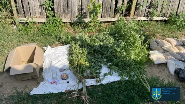 Kárpátalján több tucat borostyán és kábítószeres csomagra bukkantak a rendőrök