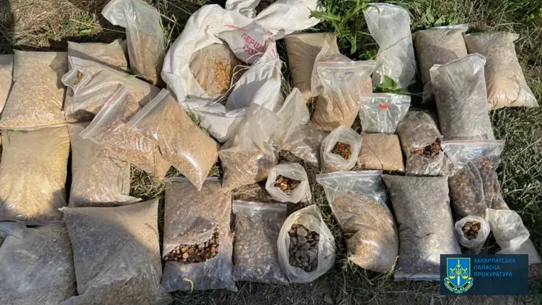 Kárpátalján több tucat borostyán és kábítószeres csomagra bukkantak a rendőrök