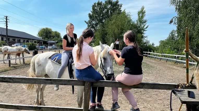 Kezdetét vette a lovastábor a KMNE szervezésében