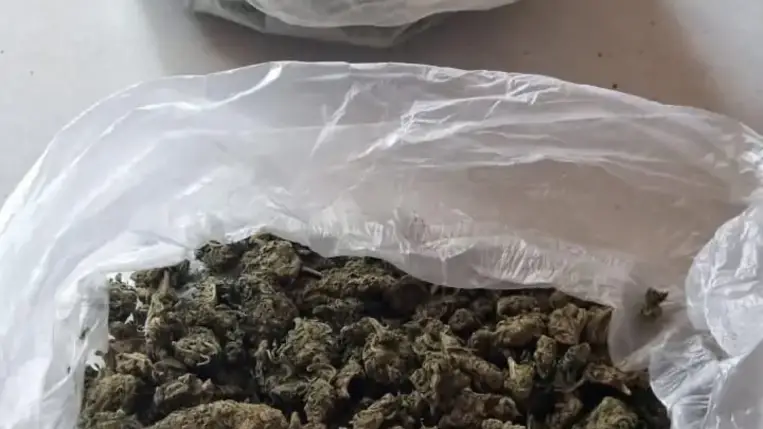 Kábítószer-gyártókat fogtak el Kárpátalján