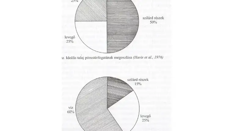 A parasztok már ősidők óta az állatok itatásánál azt a logikát követik, hogy a víz utánpótlását annak fogyásához igazítják. Tehát adnak egy bizonyos mennyiséget, amennyire biztosan szüksége lesz az állatoknak, aztán időnként ellenőrzik, hogy mennyi fogyott belőle