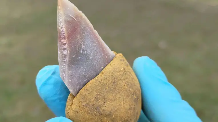 A neandervölgyiek meglepően kifinomult ragasztót használtak 