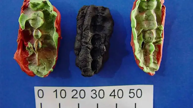 Tízezer éves rágógumi árulkodik a kőkorszaki tinik szájhigiéniájáról 