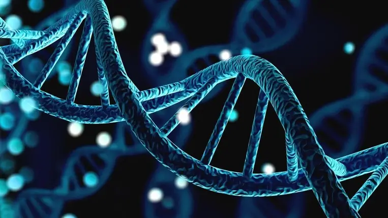 Ez a szoftver képes a szennyezett genomadatok tisztítására 