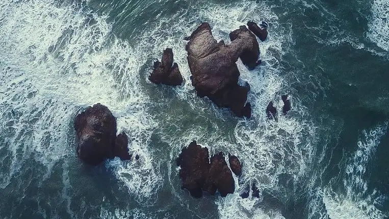 Titokzatos rémségeket hoztak fel a tenger mélyéről 