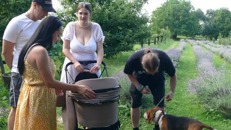 A Beregardai Hegyalja Levendulamezőn szeretettel várják a látogatókat - Ahol megpihenhet a test, felüdülhet a lélek. Fotó: Kárpátinfo/Kovács Erzsébet