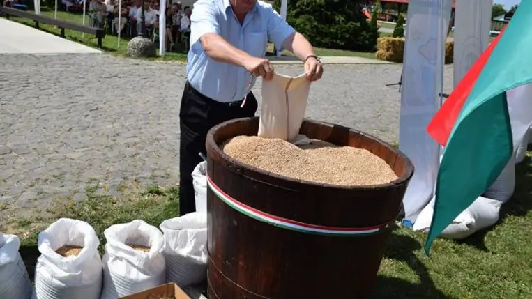 Magyarok Kenyere. Búzaösszeöntő ünnepség Nagydobronyban - A megpróbáltatások idején még jobban összekapaszkodunk. Fotó: Kárpátinfó/ Kovács Elemér