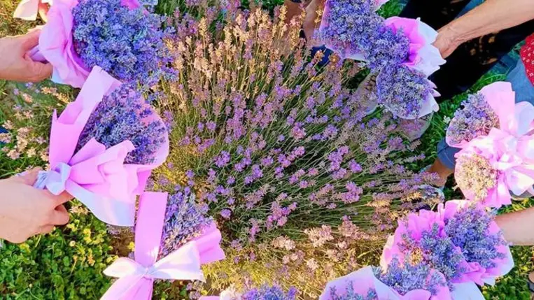 Nőszövetségi kirándulás a levendulásba és a Fehér Sziklához - Kellemes környezetben, jó társasággal – közelebb Istenhez. Fotó: Kárpátinfó/ Kovács Erzsébet