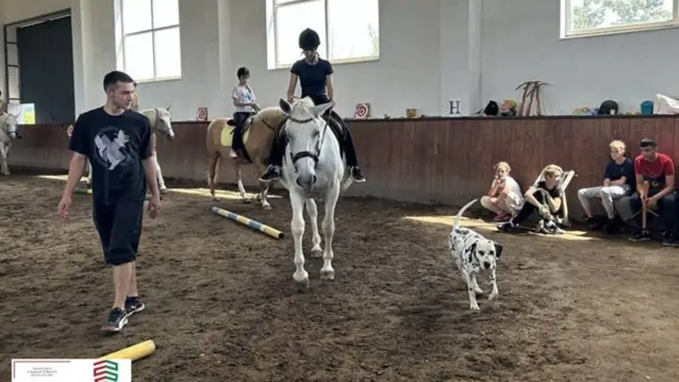 Lovastáborban a nagycsaládosok  - Nyeregbe, gyerek!