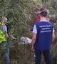 Tragédia Kárpátalján: eltemetett csecsemő maradványait találták meg Csapon. Fotó: Ukrán Ügyészség