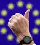  A parlament egyik képviselője fölmutatja a hüvelykujját egy szavazás során az Európai Parlament plenáris ülésén Strasbourgban 2025. november 25-én (Fotó: MTI/EPA/Ronald Wittek)