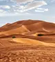  Szahara sivatag (Fotó: Shutterstock)