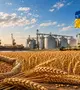 Ukrán gabona. Illusztráció. Fotó: Kárpátinfo.net