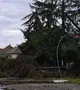 A Beregszászi kistérség hét településén nincs áram a vihar után. A károsult háztartások egyszeri 3000 hrivnyás támogatást kaphatnak.
