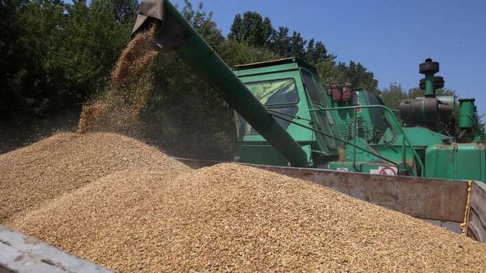 Tíz százalékkal kevesebb gabonát takarítanak be idén a tavalyinál / Fotó: AFP